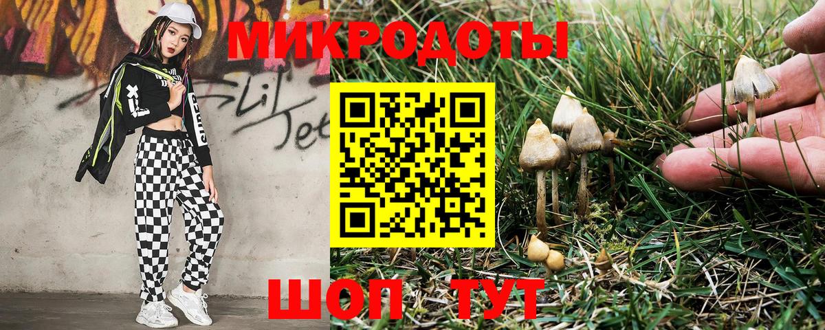 Южноуральск  Галлюциногенные грибы GOLDEN TEACHER  Вход с VPN 