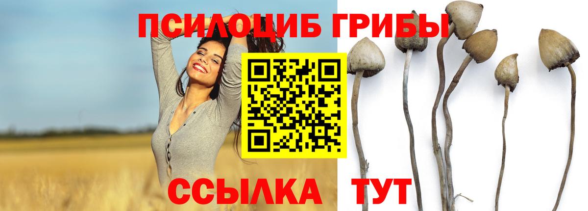 Галлюциногенные грибы GOLDEN TEACHER Южноуральск